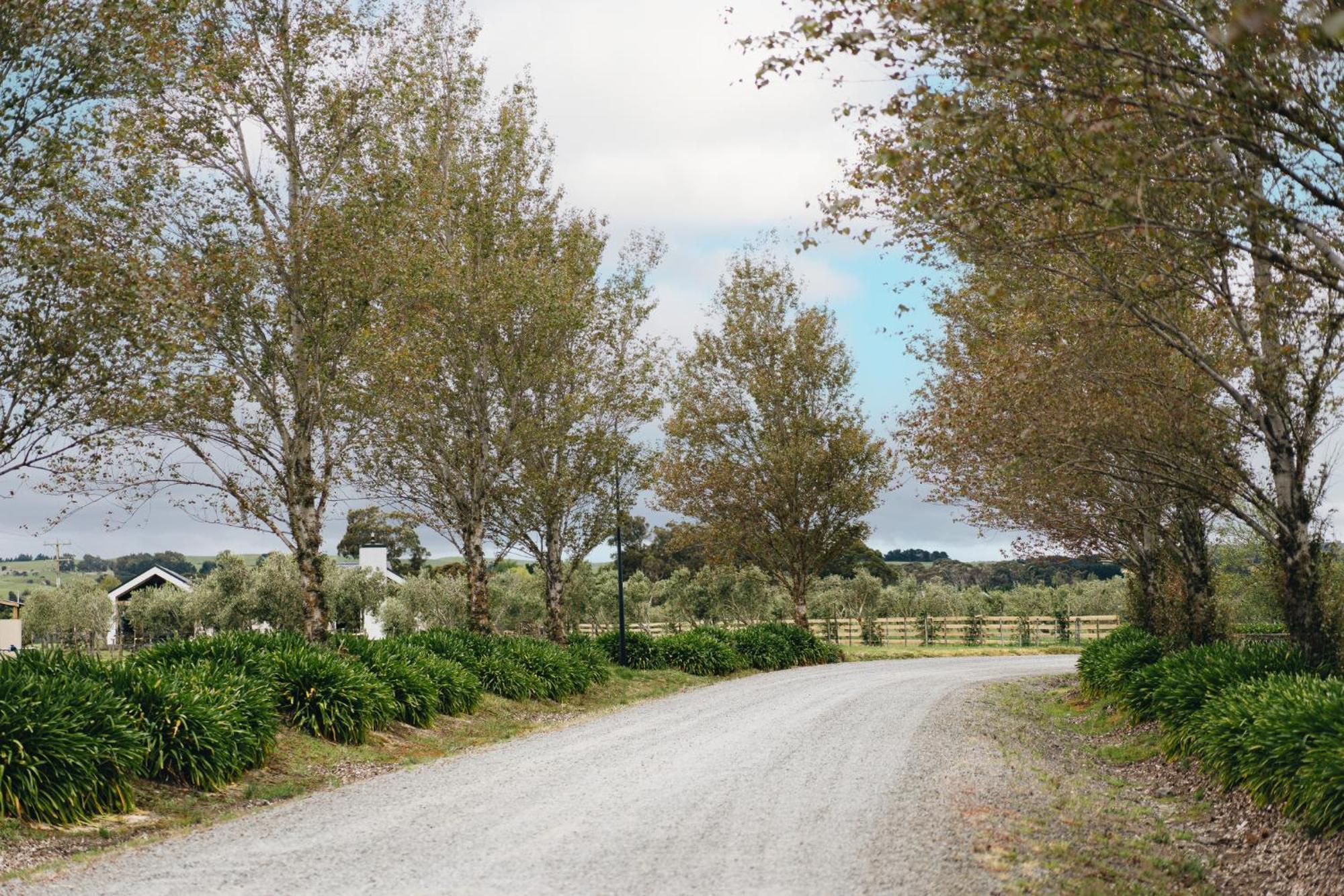 מרטינבורו Brackenridge Country Retreat & Spa מראה חיצוני תמונה